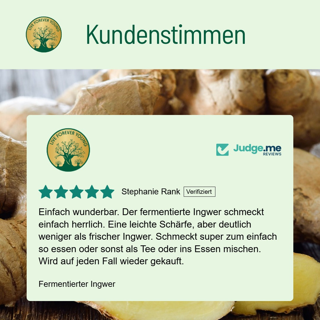 fermentierter Ingwer Kundenstimmen