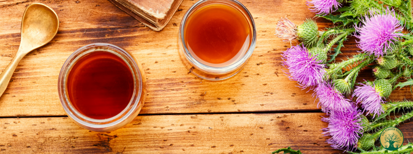 Die Kraft der Mariendistel für deine Leber