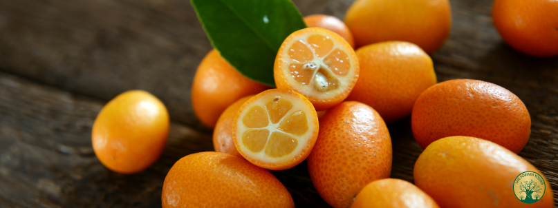 Fermentierte Kumquat als alternative zur Mundspülung