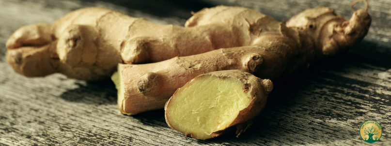 Fermentierter Ingwer für Energie und Vitalität
