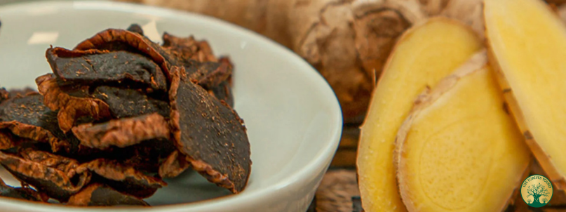 Fermentierter Ingwer zum Trinken Mild, aromatisch und voller Power