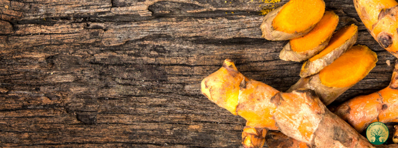 Warum fermentierte Kurkuma deine Gesundheit revolutionieren könnte