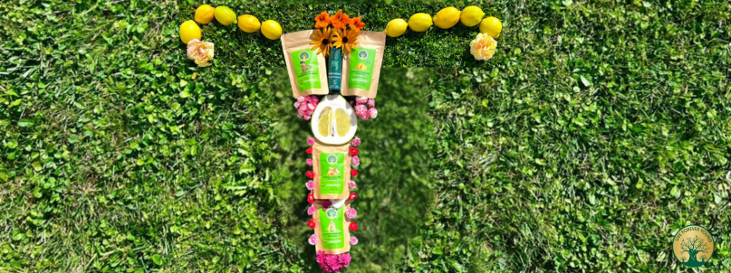 Wechseljahre & Immunsystem Natürliche Unterstützung für mehr Balance