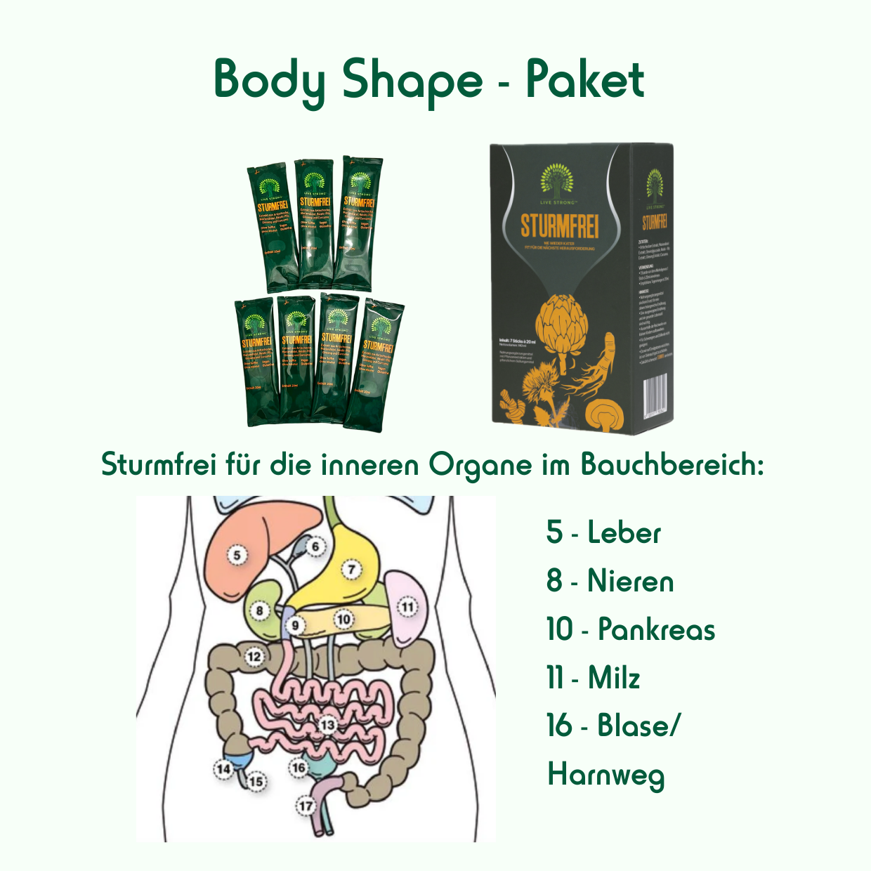 Body Shape - Paket