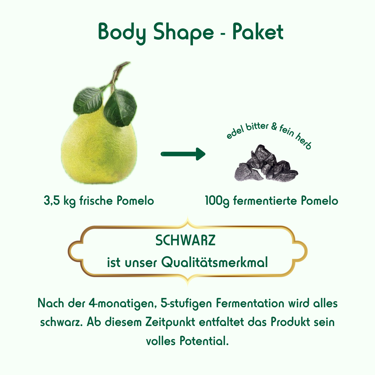 Body Shape - Paket