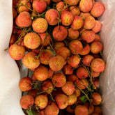 Frische-Edel-Litschis