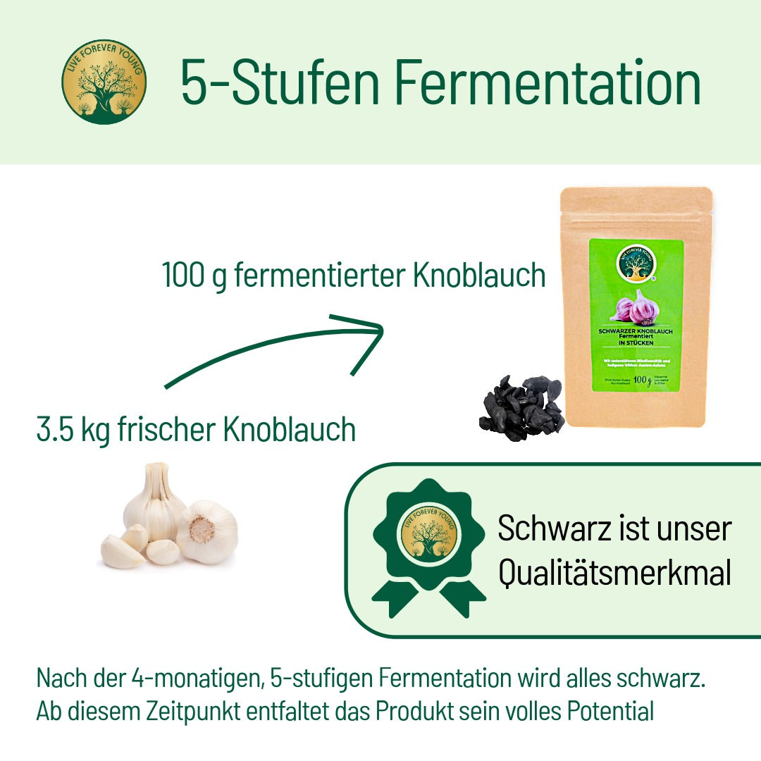 Knoblauch fermentierung