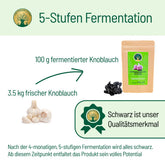Knoblauch fermentierung
