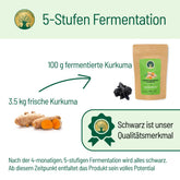 Kurkuma fermentation