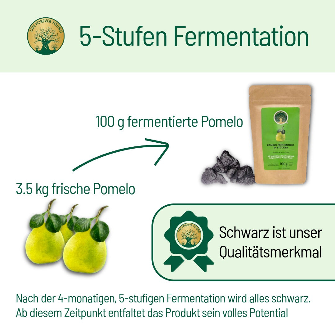 Pomelo Fermentation