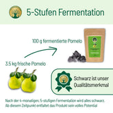 Pomelo Fermentation