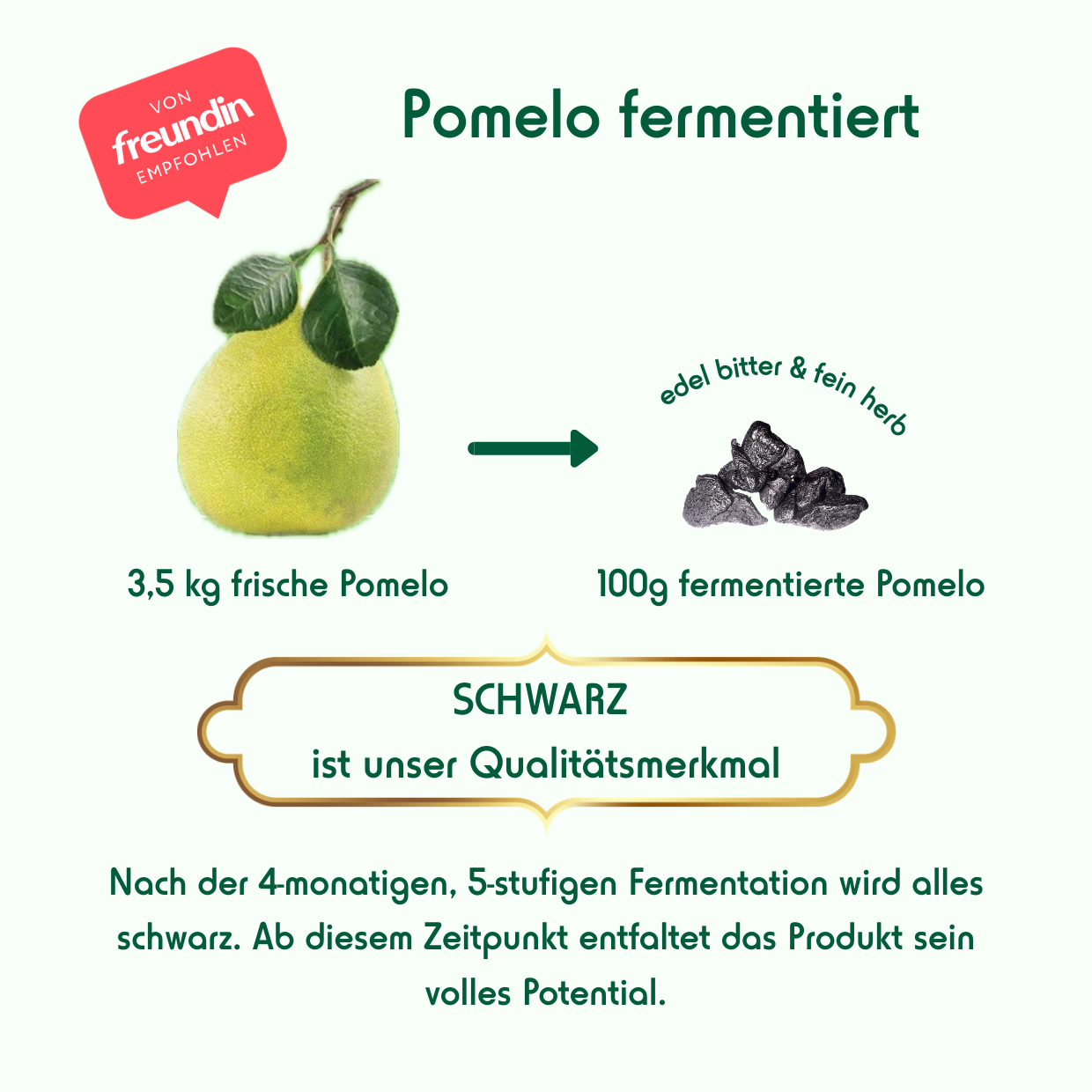 Fermentierte Pomelo