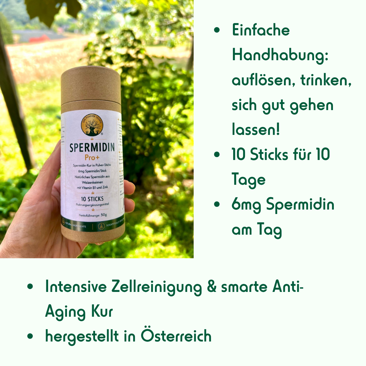 Spermidin Pro+