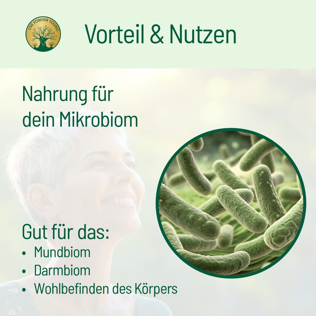 fermentierte Limette Vorteile