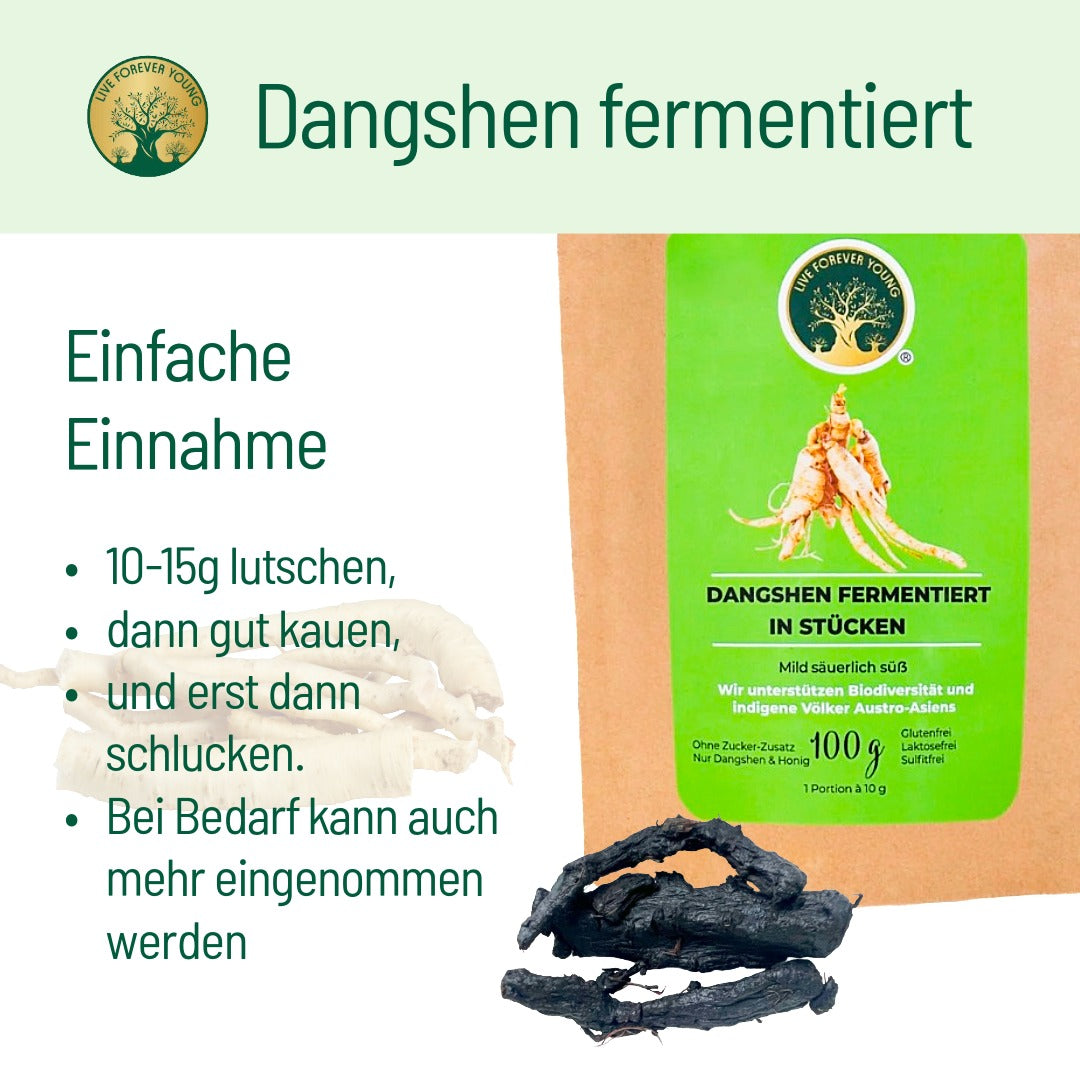 fermentierter Dangshen Anwendung