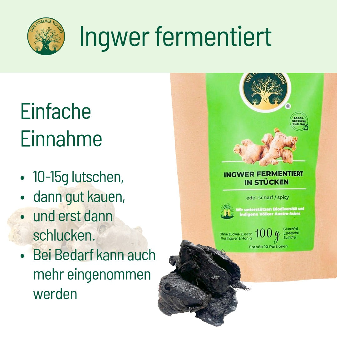fermentierter Ingwer Anwendung